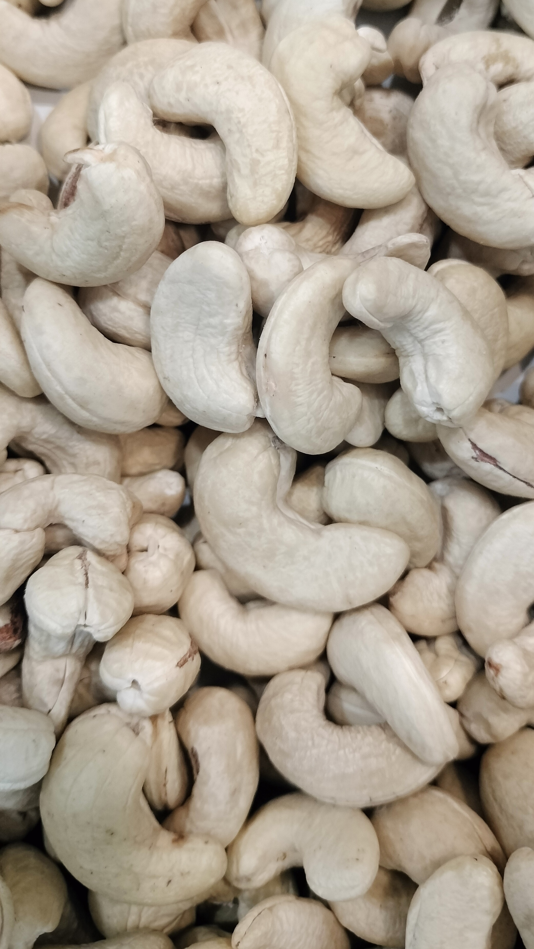 Cashew